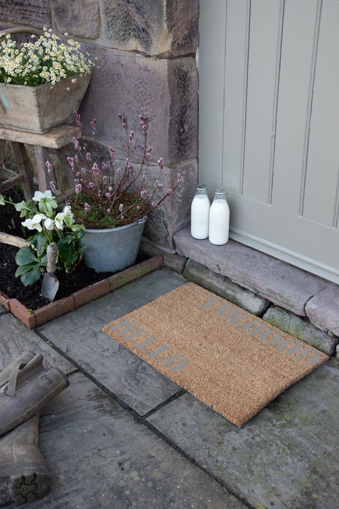 Hello Goodbye Mirrored Doormat
