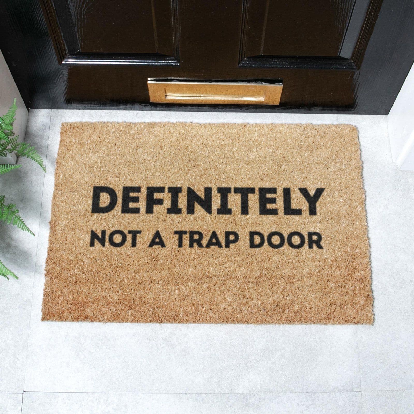 Definitely Not Trap Door Doormat