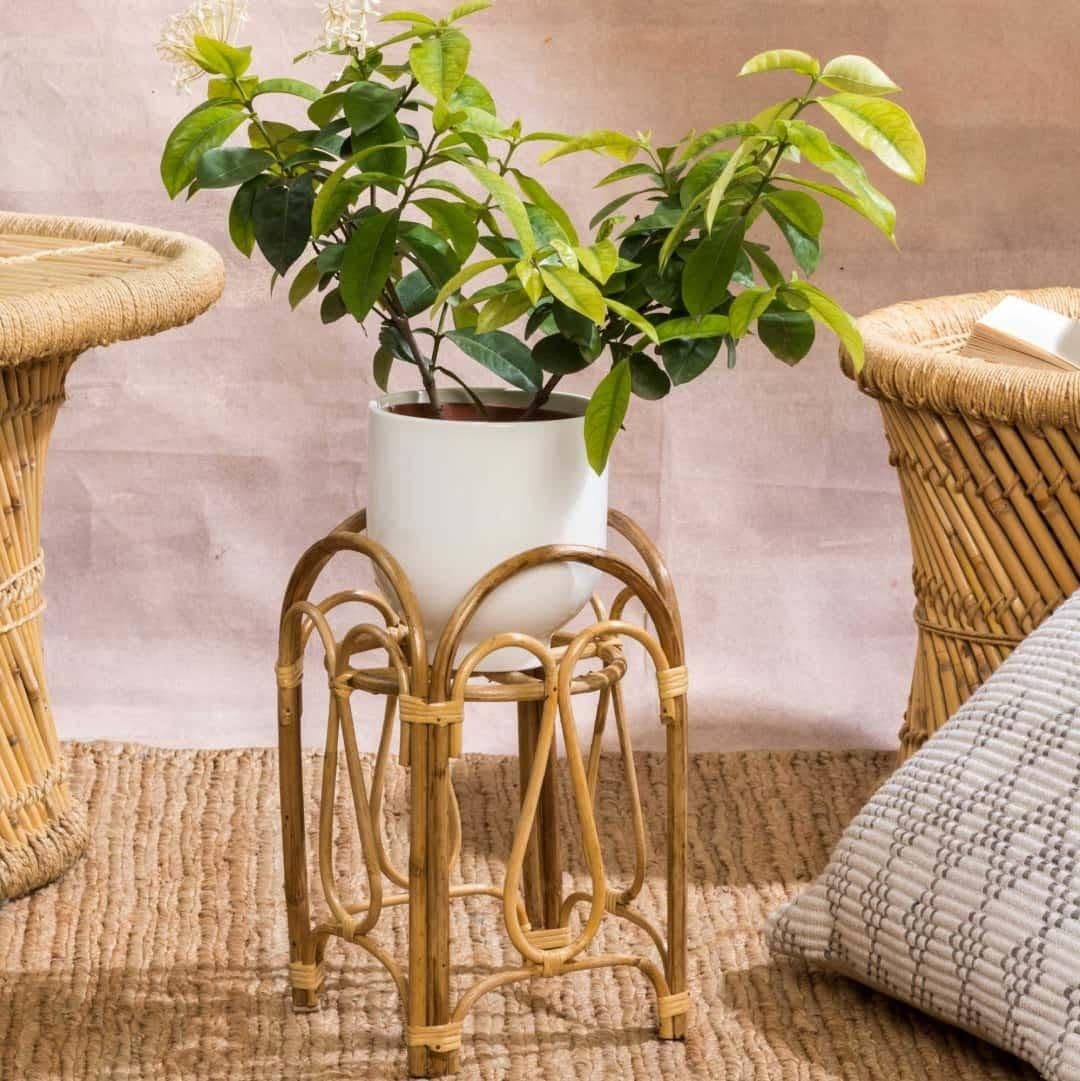 Handmade Rattan Plant Stand Patra