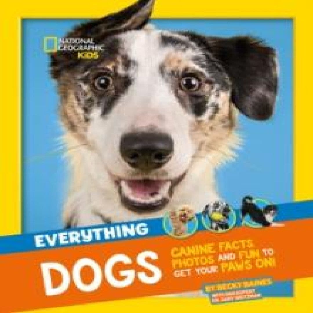 Everything: Dogs Book