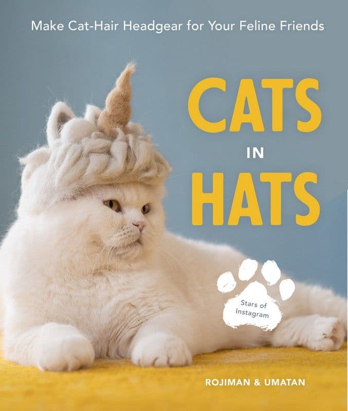 Cats in Hats Book