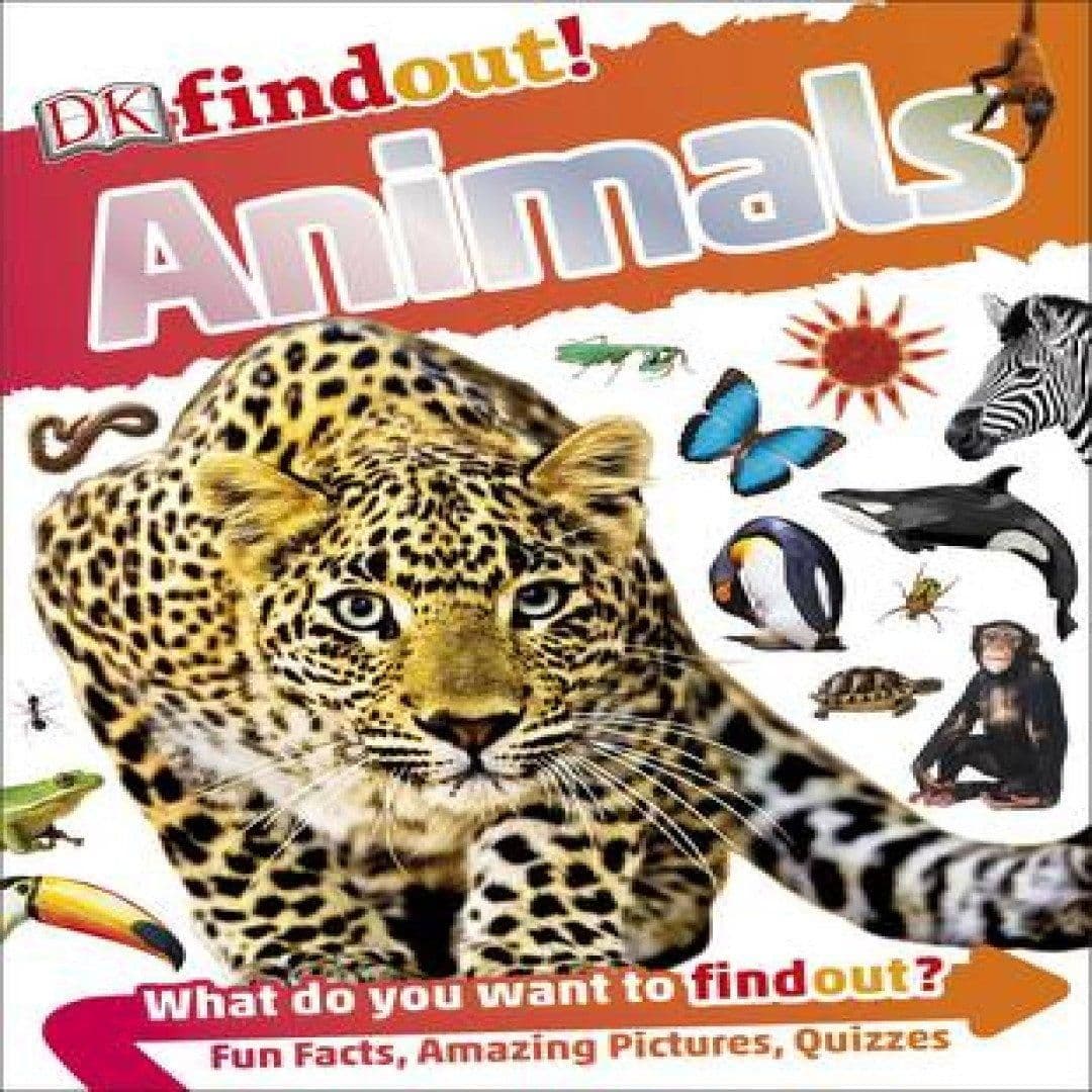 DKfindout! Animals Book