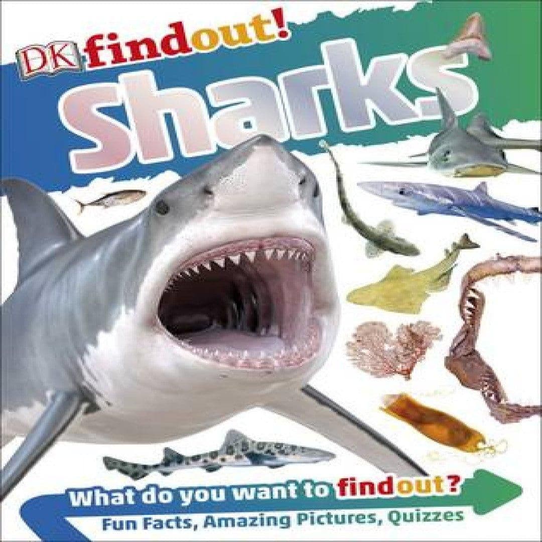 DKfindout! Sharks Book