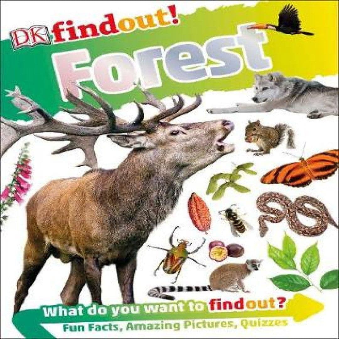 DKfindout! Forest Book