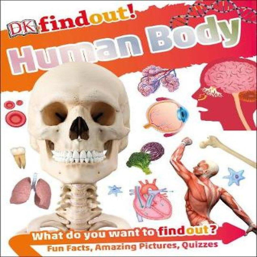 DKfindout! Human Body Book
