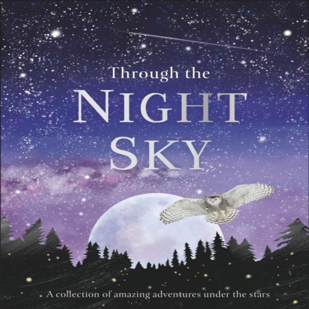Through the Night Sky Book