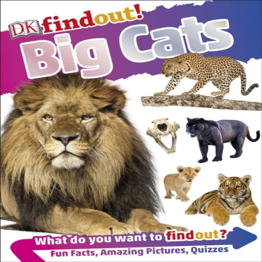 DKfindout! Big Cats Book