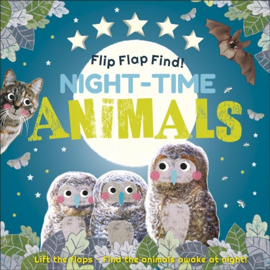 Flip Flap Find! Night-time Animals Book