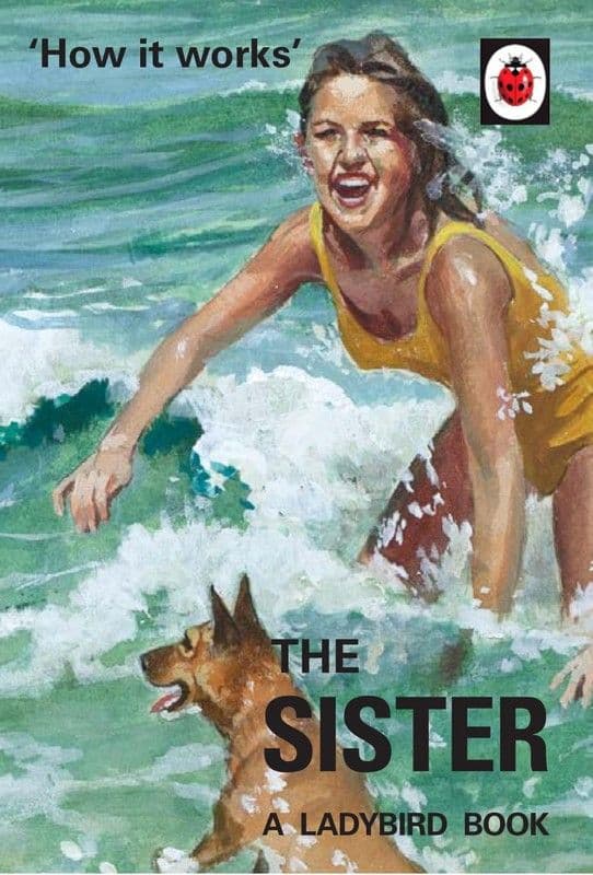 The Ladybird Book Of The Sister