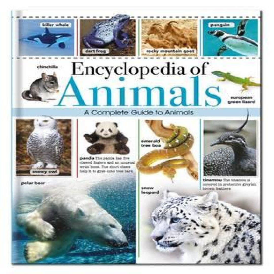 Encyclopedia of Animals Book