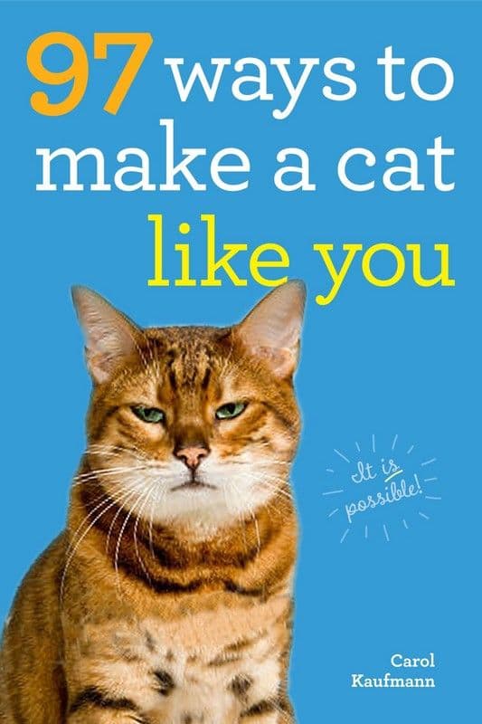 97 Ways To Make A Cat Like You Book