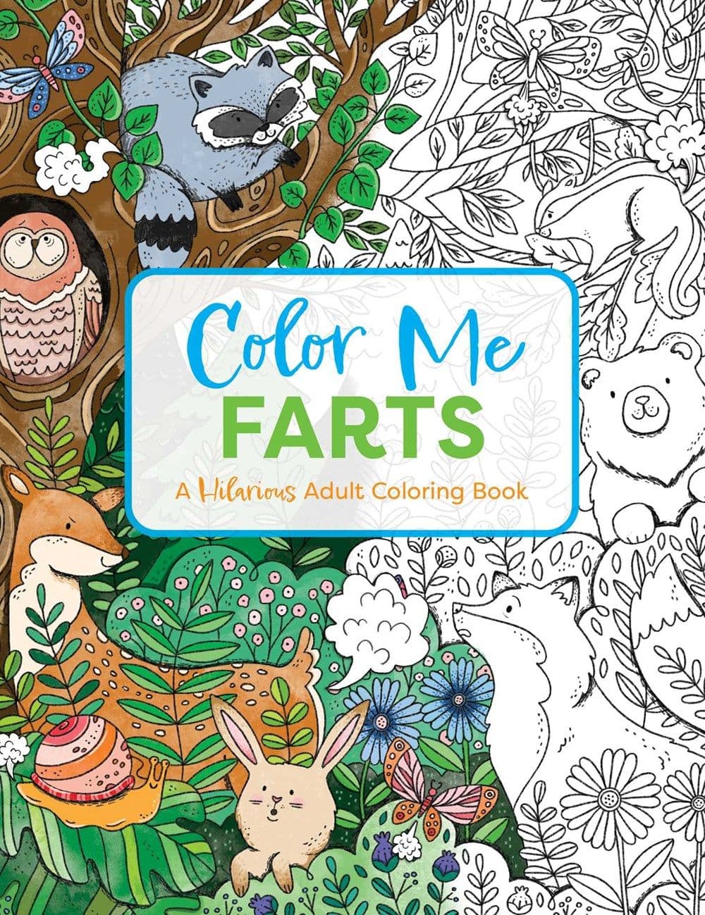 Color Me Farts Book