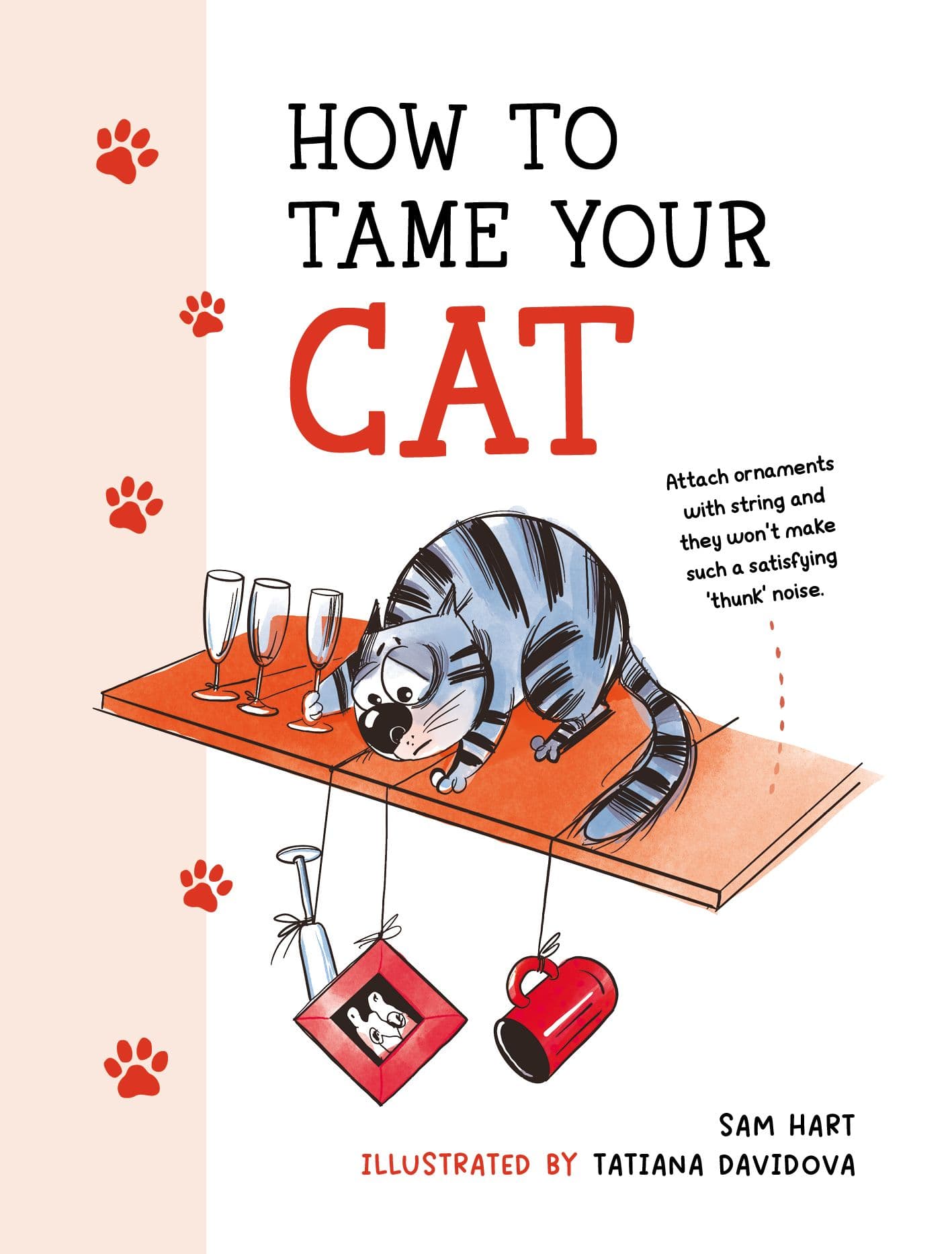 How to Tame Your Cat Book