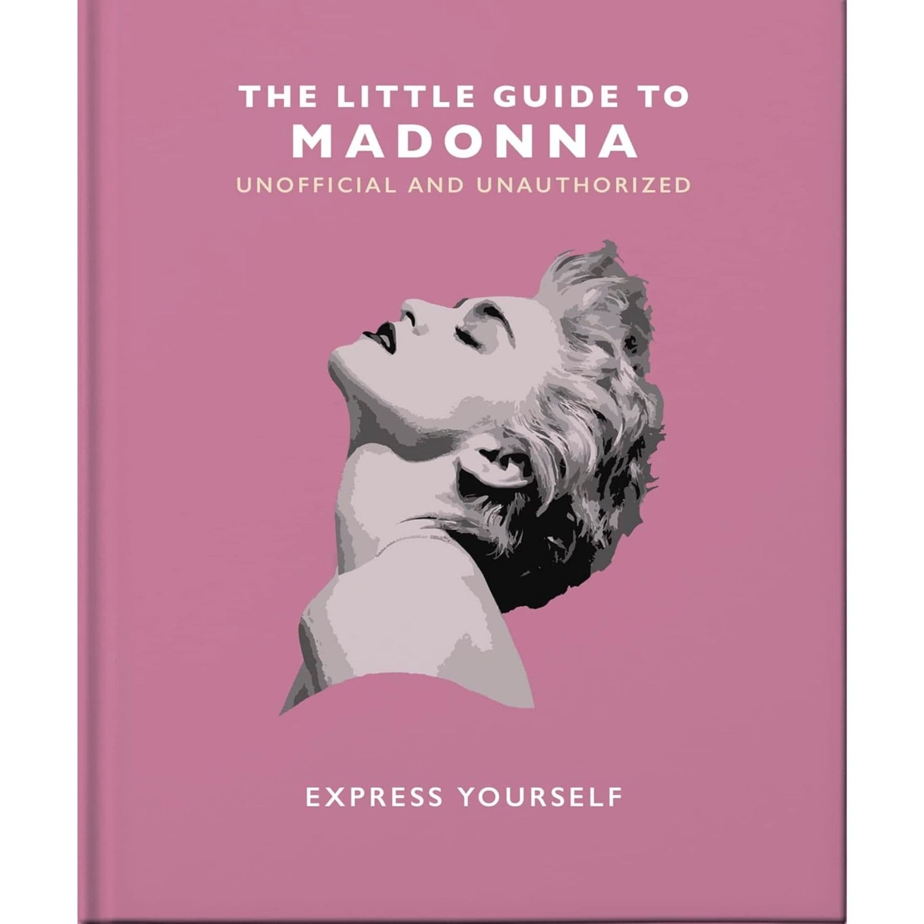 The Little Guide to Madonna Book