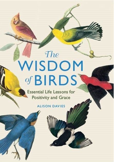 The Wisdom of Birds Book