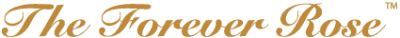 The Forever Rose