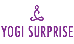 Yogi Surprise