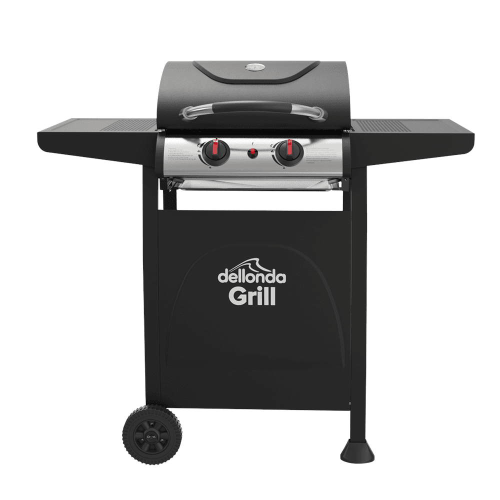 2 Burner Gas BBQ Grill Ignition & Thermometer Black Stainless Steel