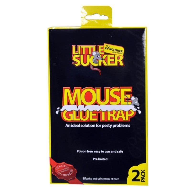 Mouse Glue Traps
