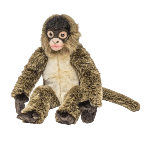 Floppy Spider Monkey