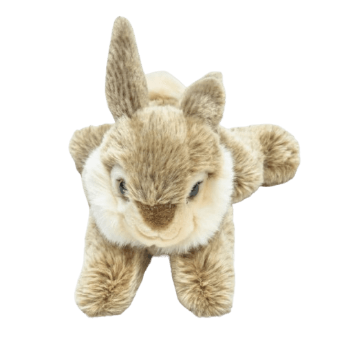 Lying Bunny