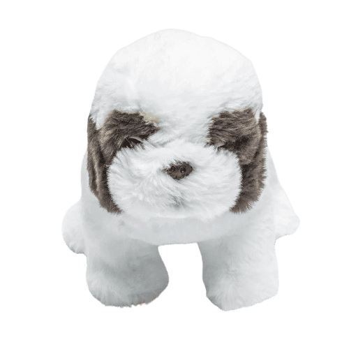 Floppy Shih Tzu