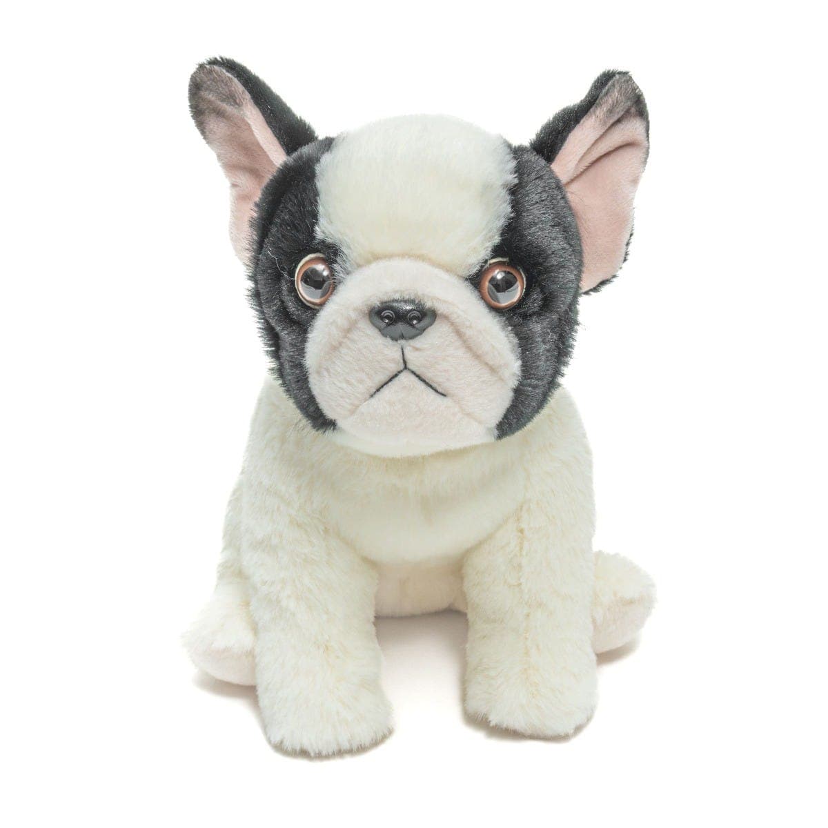 Floppy French Bulldog