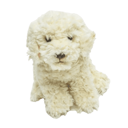 Floppy Labradoodle