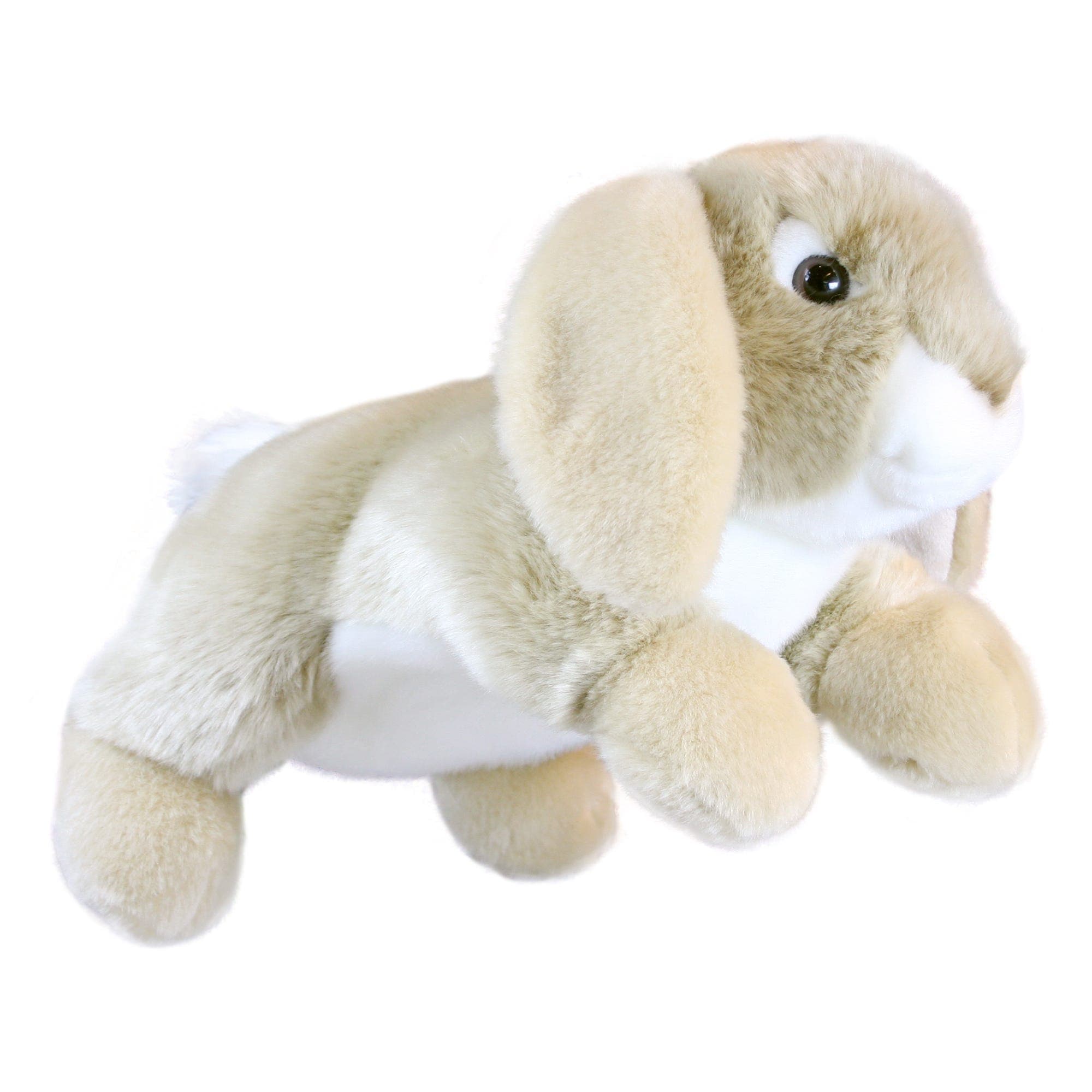Full Bodied Lop Eared Rabbit