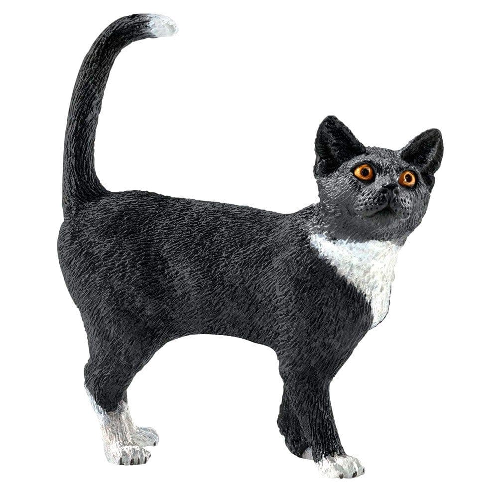 Cat Standing