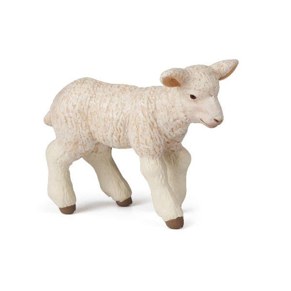Merinos Lamb