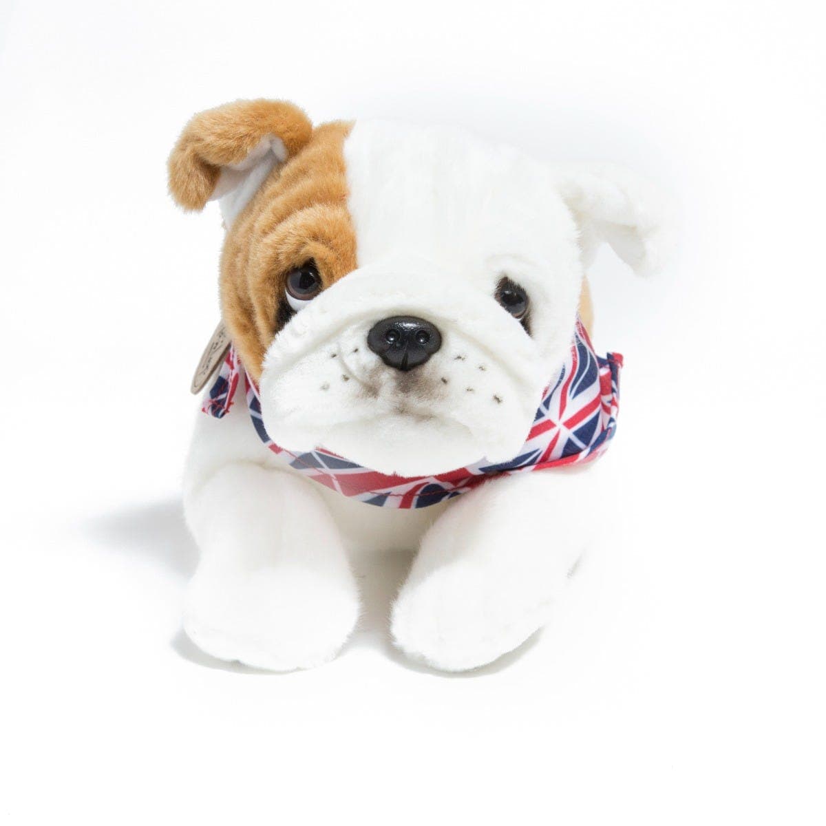 ® Dog Barry Bulldog