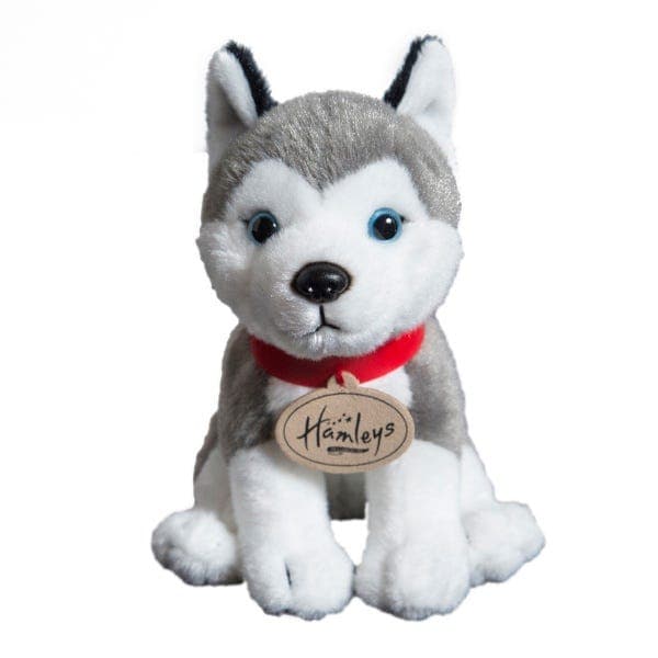 ® Cuddly Husky Puppy