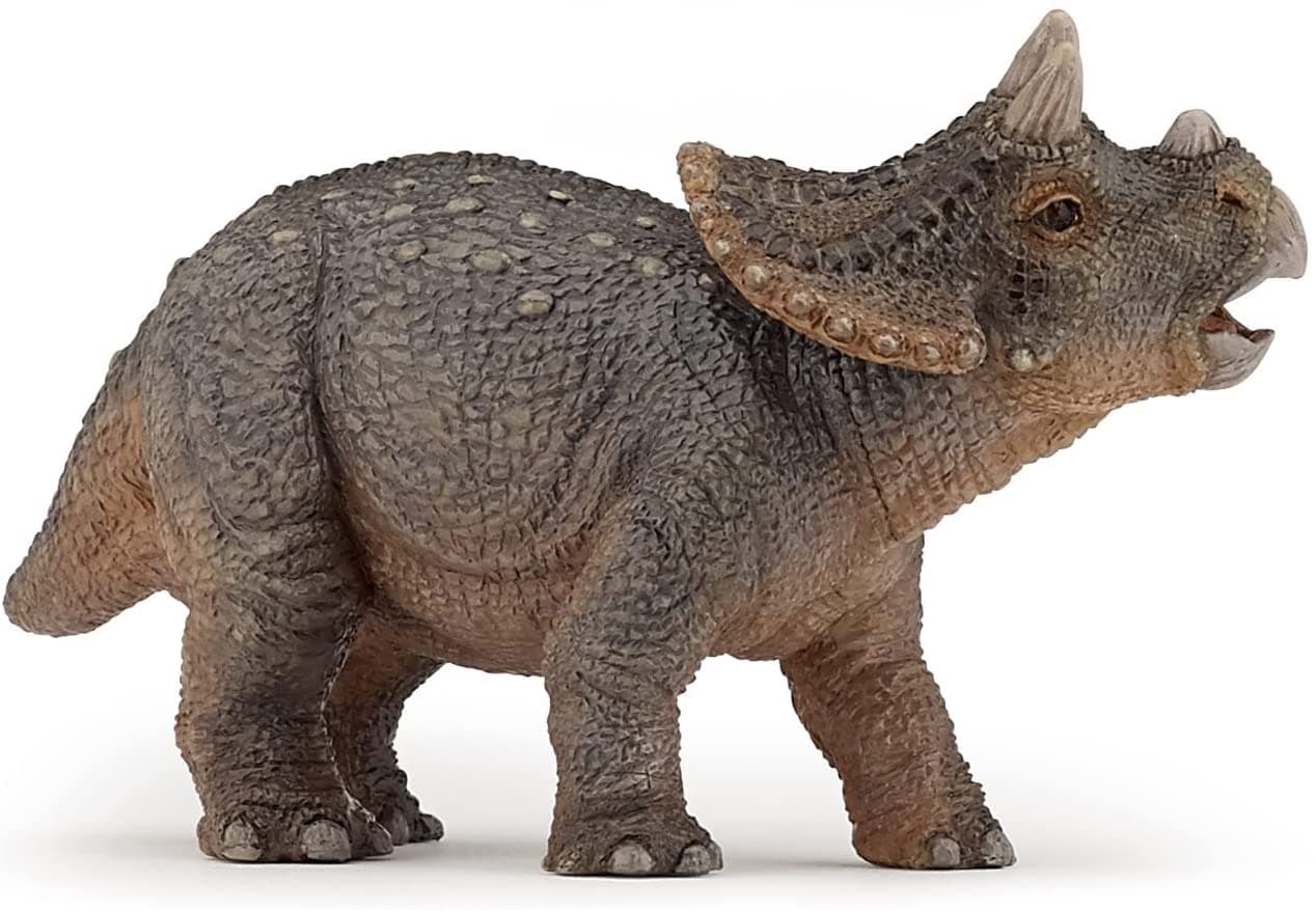 Triceratops