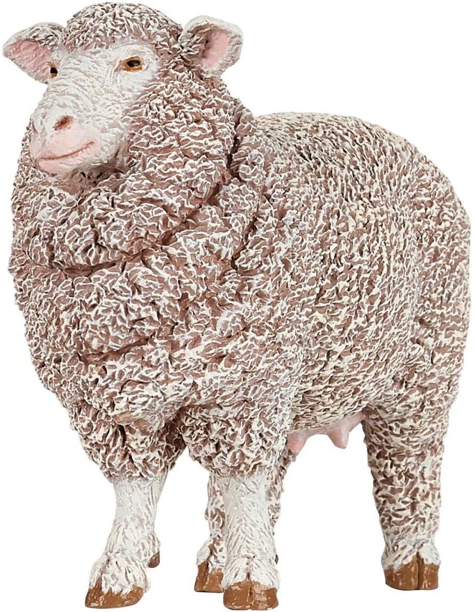 Merinos Ewe