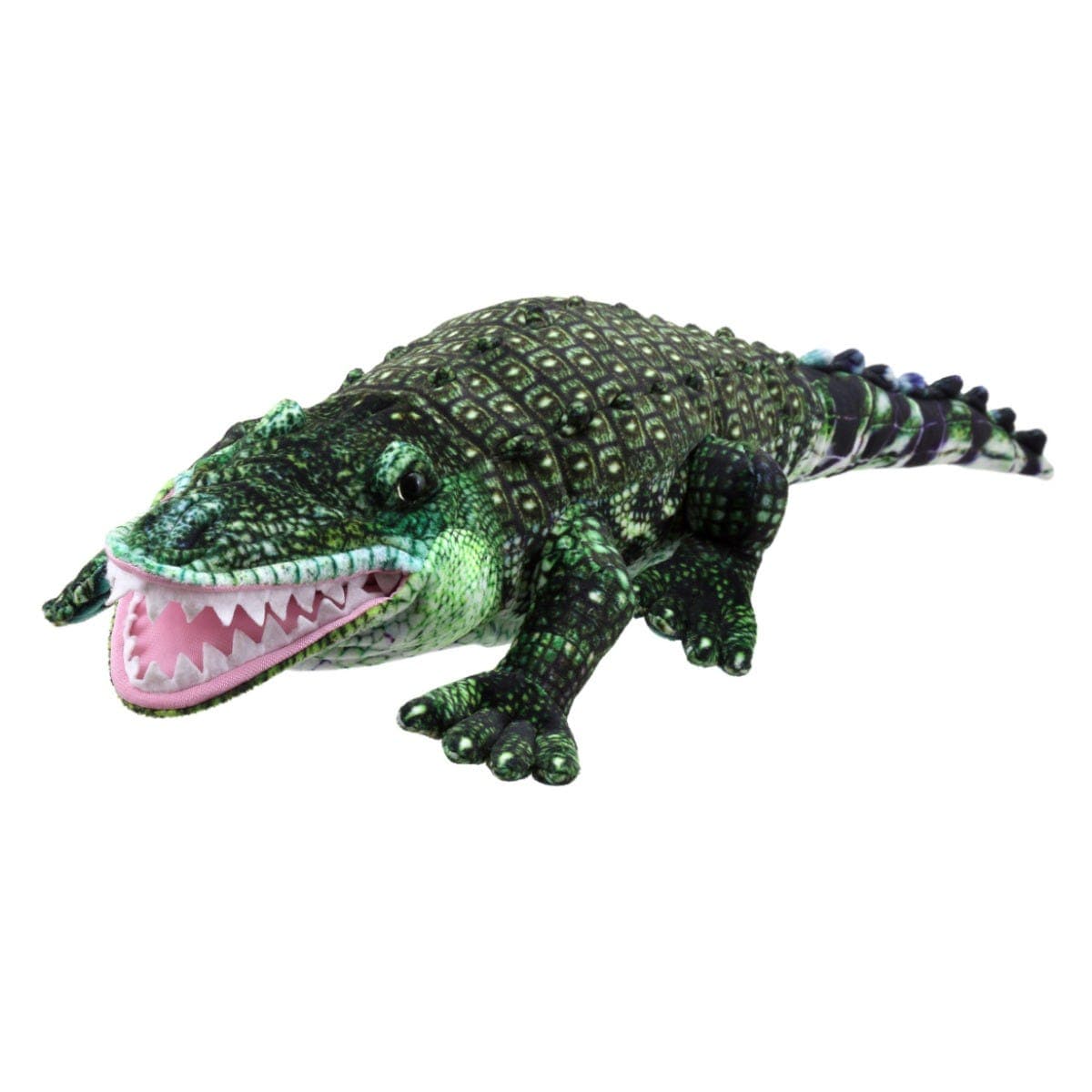 Large Creatures Aligator