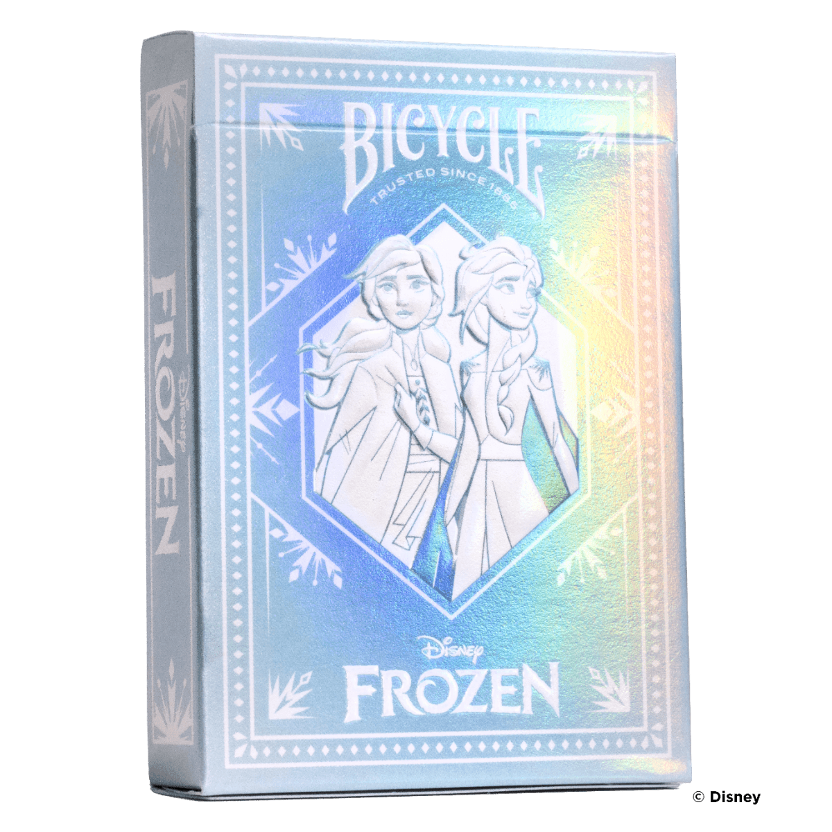 Bicycle Frozen