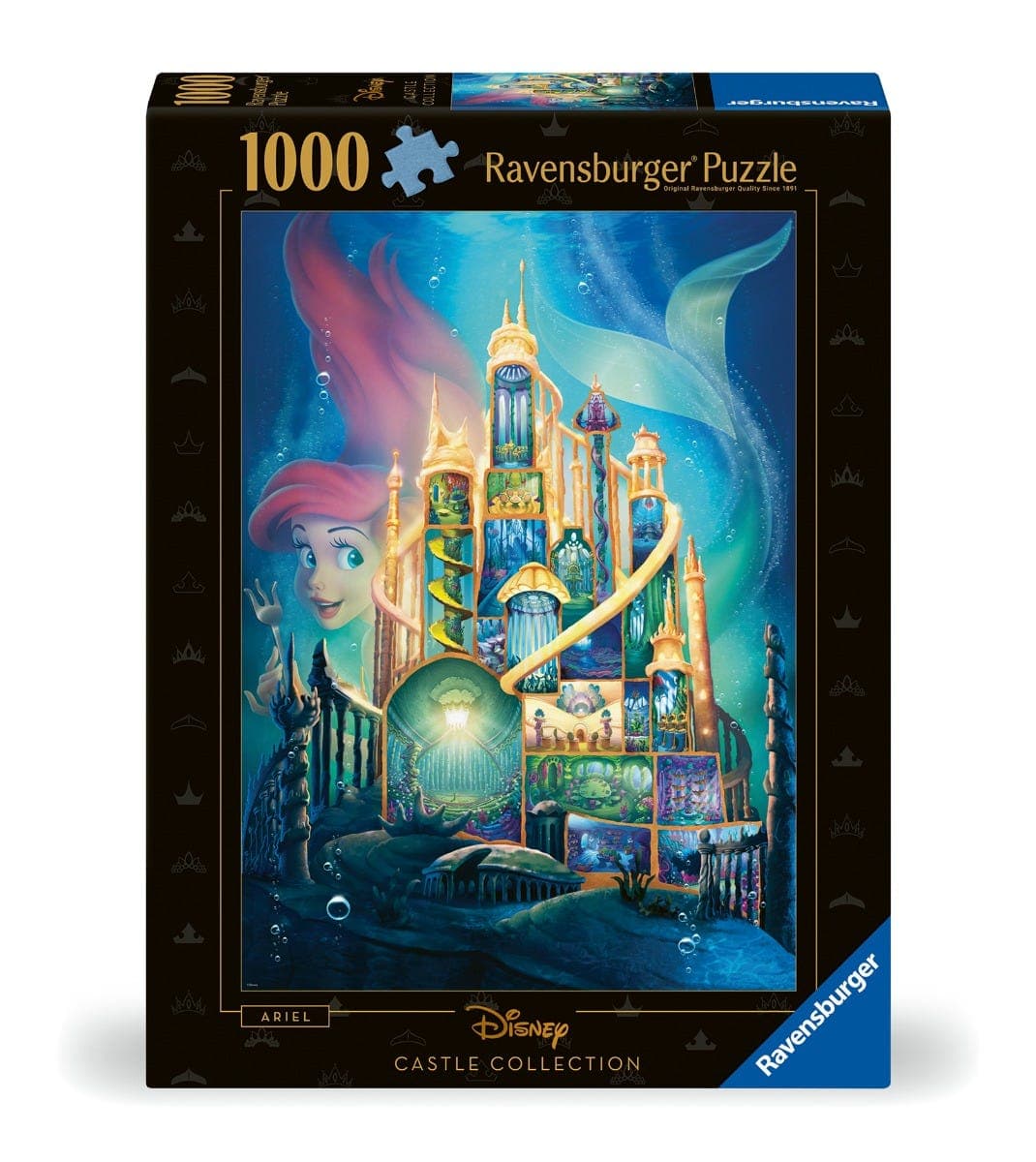 Ariel Castle 1000Pc