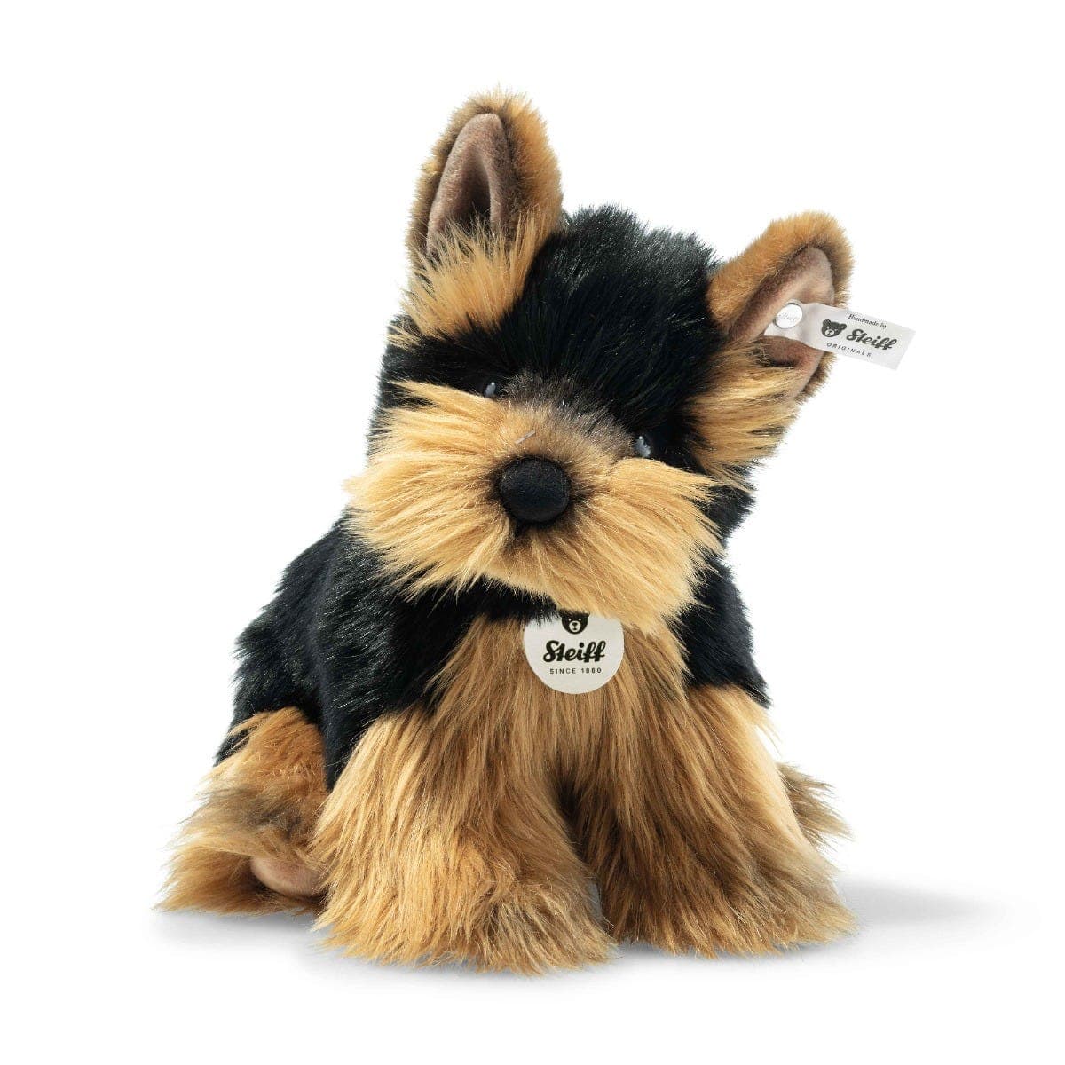 Herkules Yorkshir Terrier
