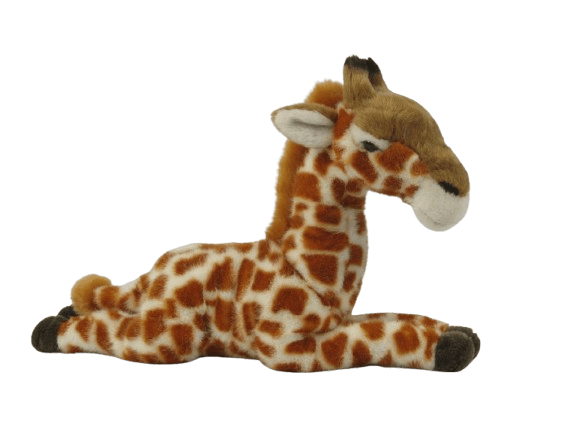 Lying Giraffe