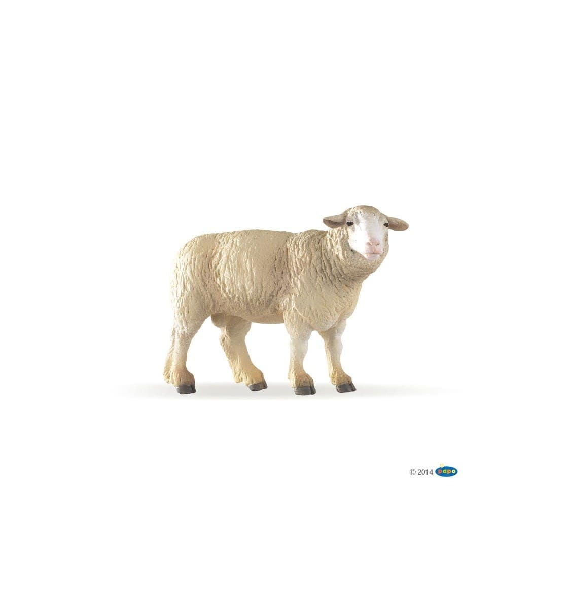 Merinos Sheep