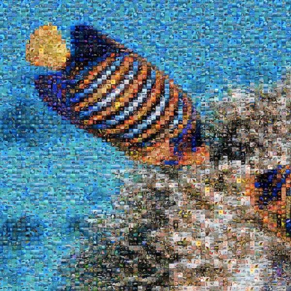 Pixxle Puzzles 50 Pcs Fish