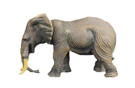 Wildlife Wonders Pack
