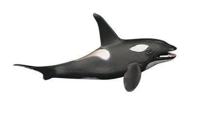 Aquatic World Pack