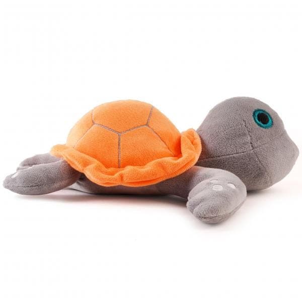 Speedy Turtle