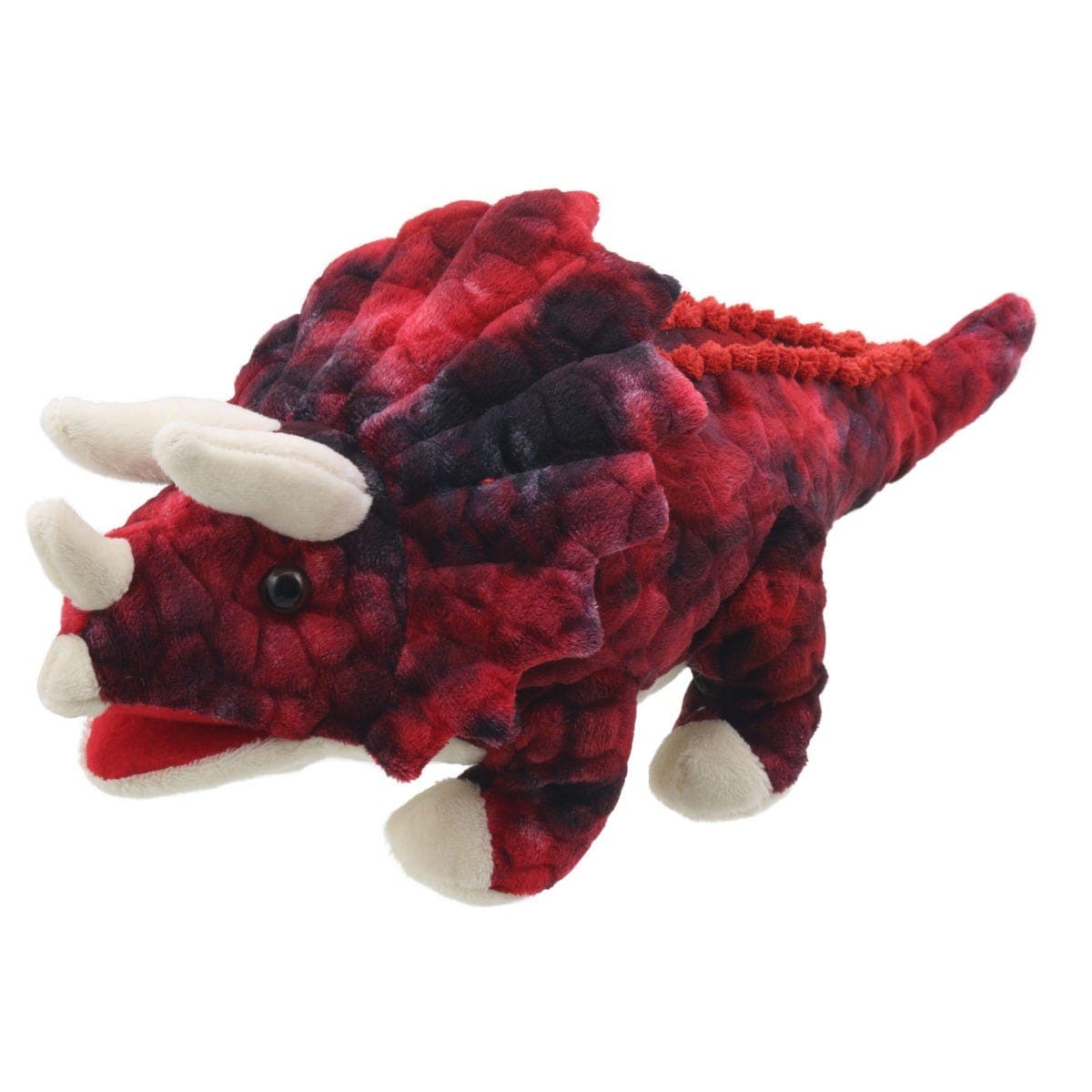 Dino Triceratops