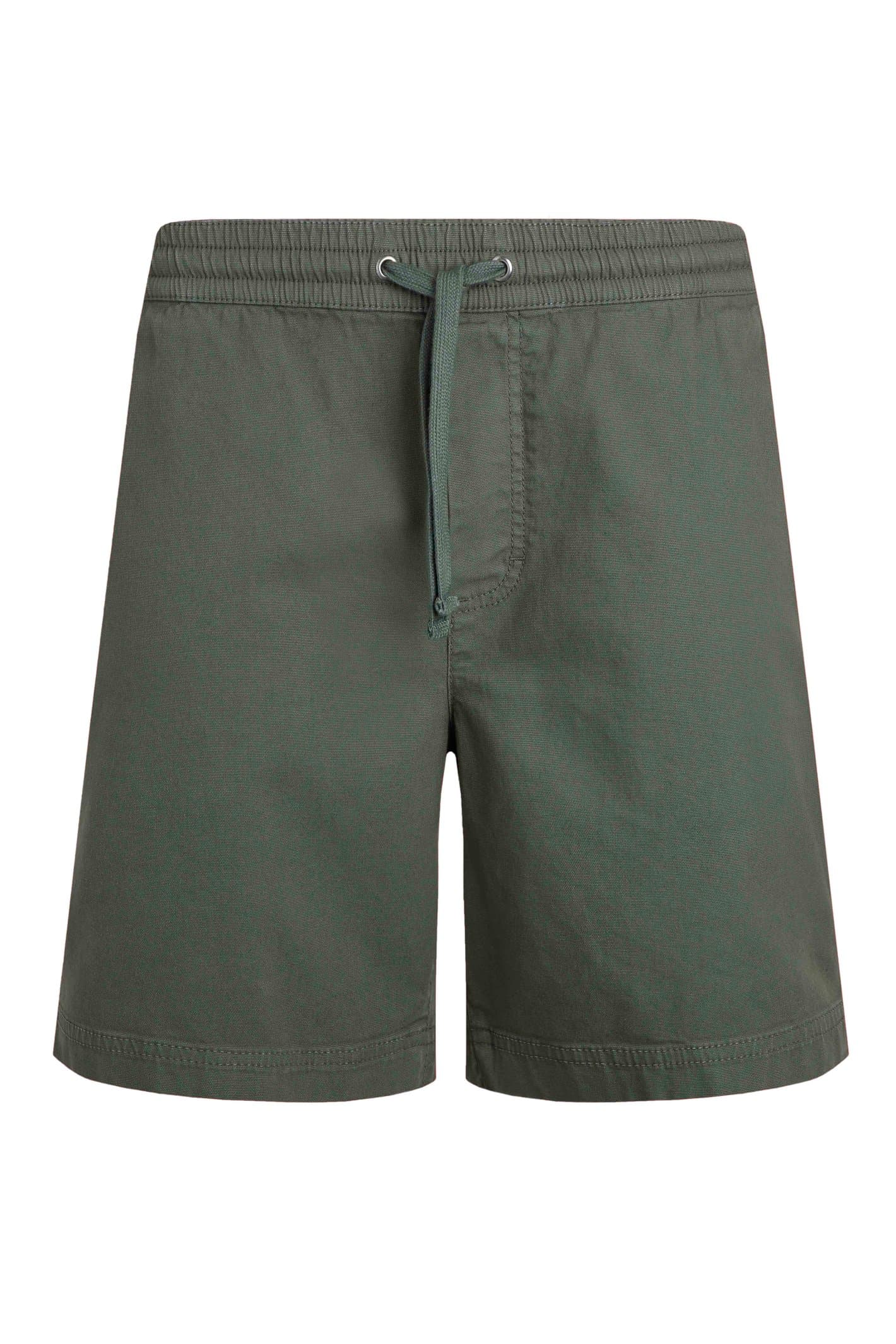 Weird Fish Weston Canvas Shorts