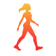 WalkFit