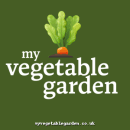 My Vegetable Garden