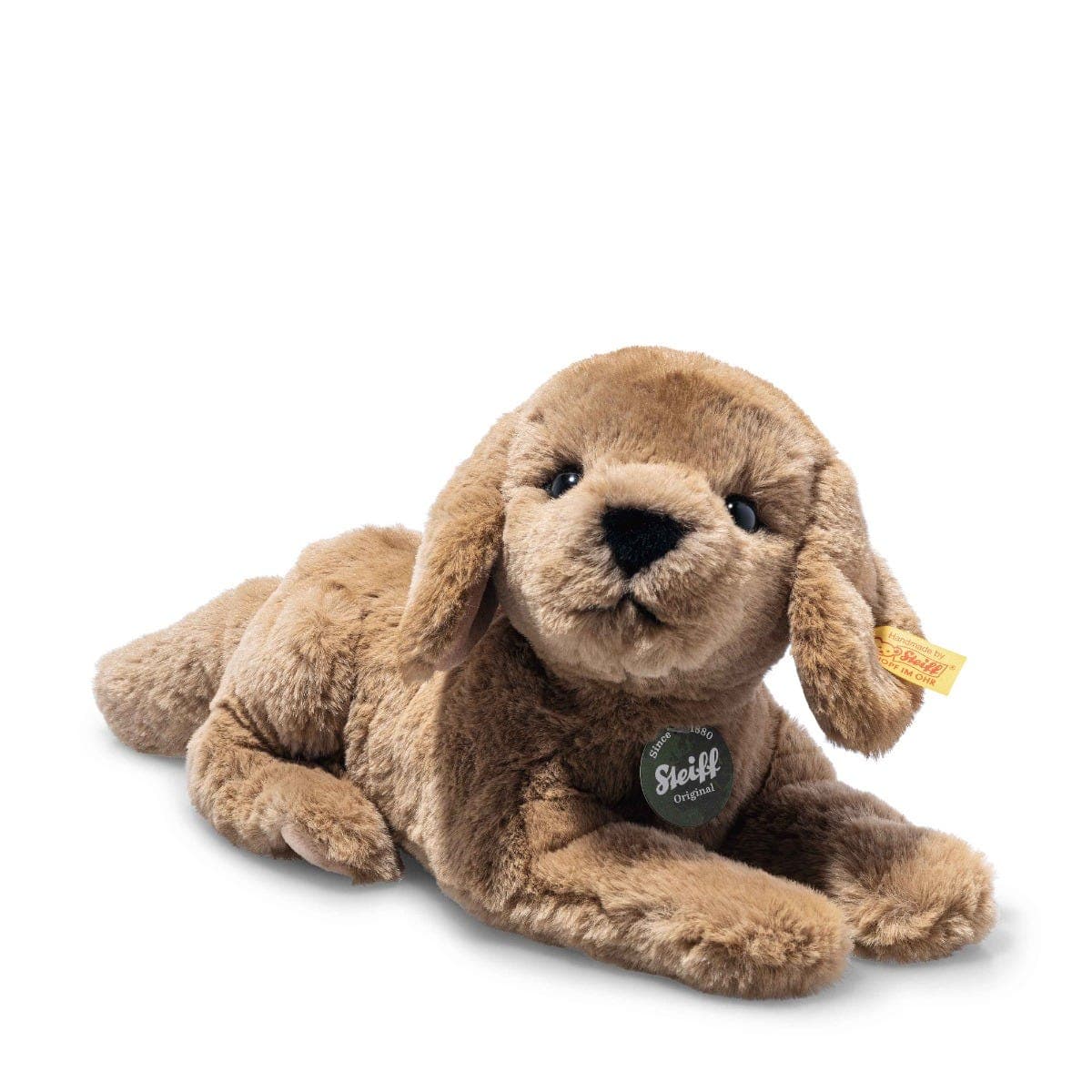 Teddies Tomorrow Lenny Labrador Chocolate